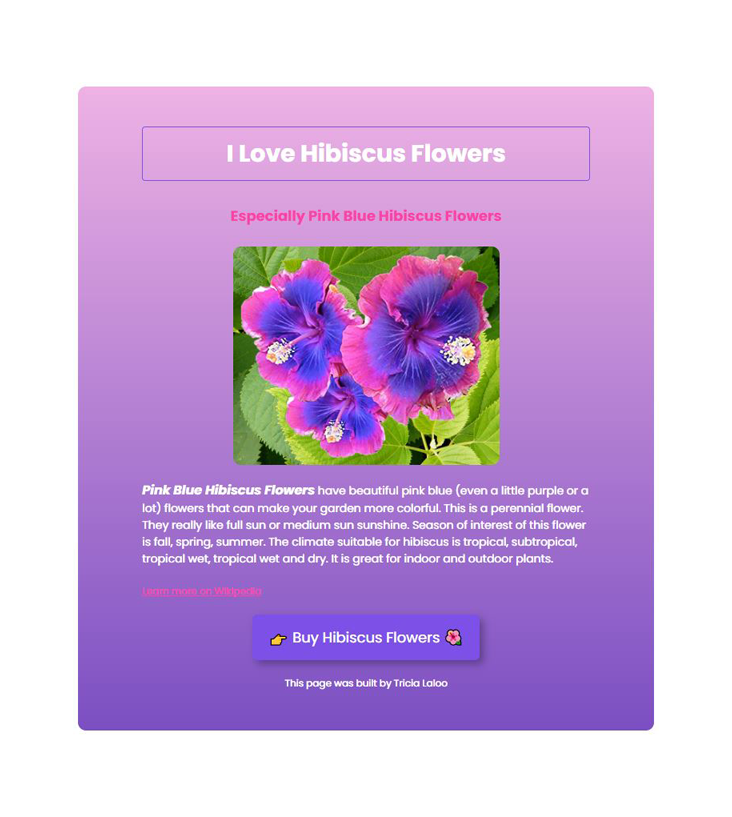 I Love Hibiscus Flowers project preview
